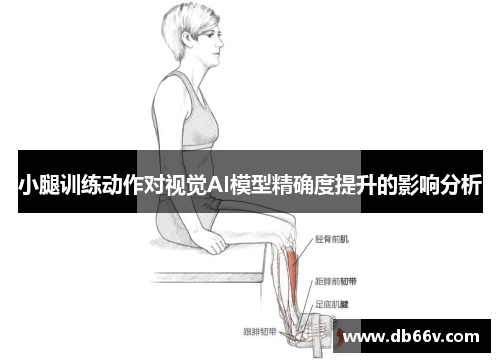 小腿训练动作对视觉AI模型精确度提升的影响分析